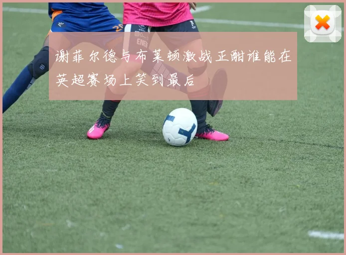 谢菲尔德与布莱顿激战正酣谁能在英超赛场上笑到最后