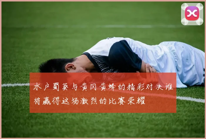 水户蜀葵与黄冈黄蜂的精彩对决谁将赢得这场激烈的比赛荣耀