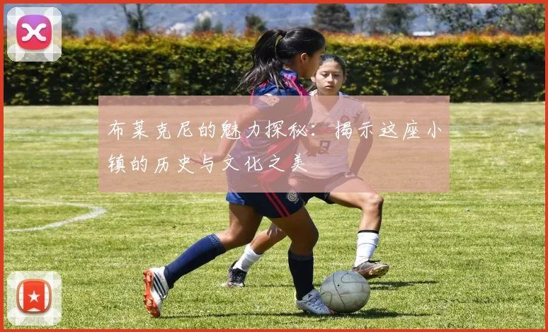 布莱克尼的魅力探秘：揭示这座小镇的历史与文化之美