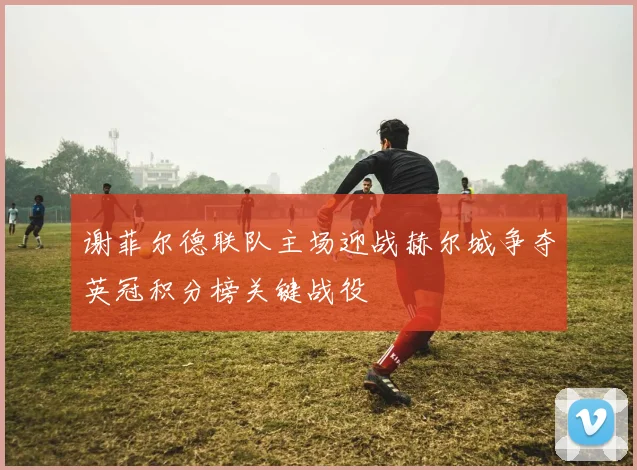 谢菲尔德联队主场迎战赫尔城争夺英冠积分榜关键战役
