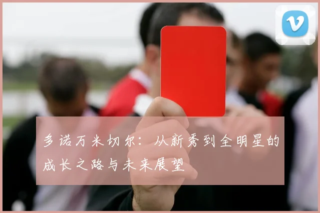 多诺万米切尔：从新秀到全明星的成长之路与未来展望