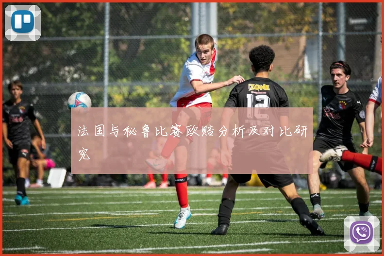 法国与秘鲁比赛欧赔分析及对比研究