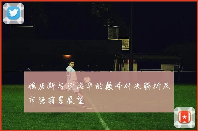施历斯与连诺华的巅峰对决解析及市场前景展望