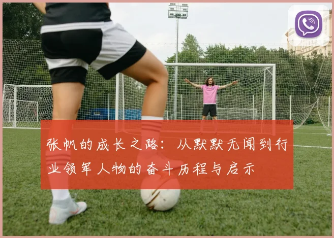 张帆的成长之路：从默默无闻到行业领军人物的奋斗历程与启示
