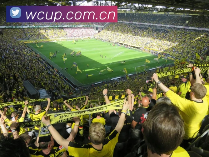 世界杯买球APP 高清赛事图